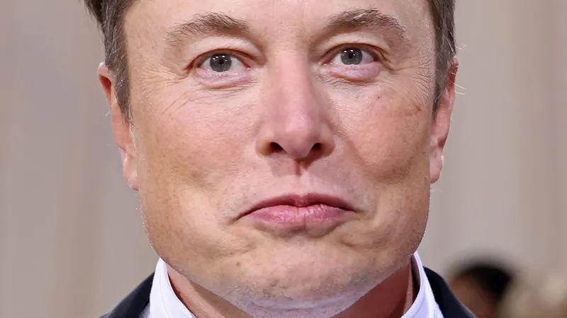 Elon Musk Paternity Suit Filed by Ashley St. Clair