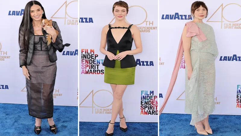 Independent Spirit Awards 2025: Celebrity Red Carpet Looks